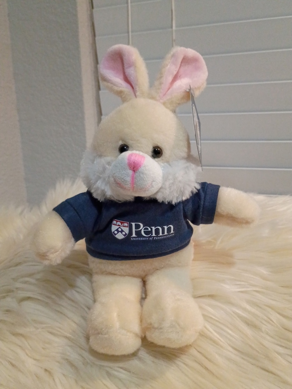 University of Pennsylvania Rabbit